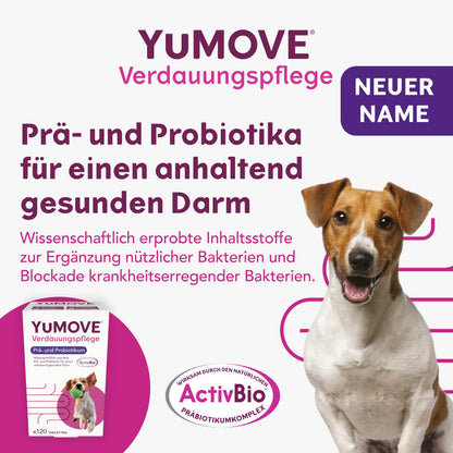 YuMOVE Digestive Care Probiotika Hund Tabletten, 120 Stück