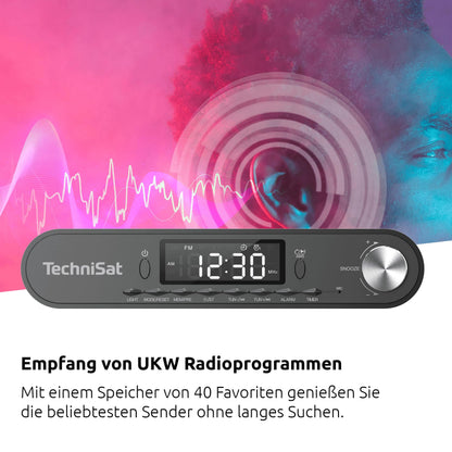 TechniSat Viola Unterbauradio mit Bluetooth und LED-Display