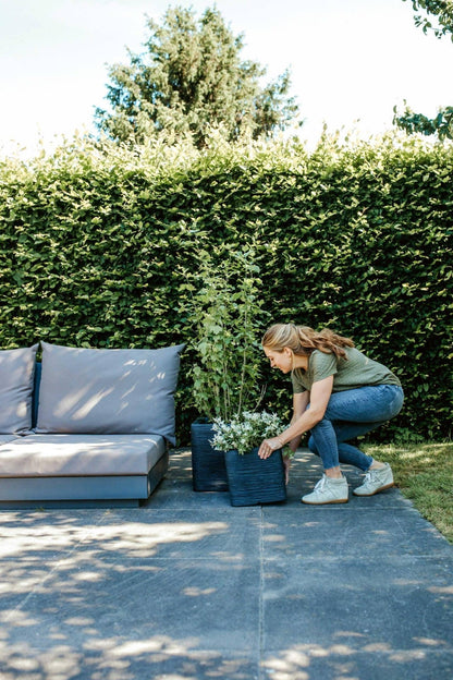 Capi Europe Rib NL Blumentopf quadratisch - 50x50 Anthrazit