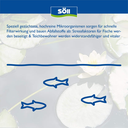 Söll FilterstarterBakterien 500 g – Filterbakterien für Gartenteich