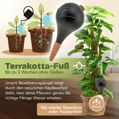 VITALLEO Bewässerungskugeln XL 400 ml, 6er-Set, schwarz
