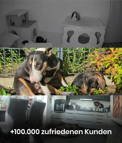 PetTec Cam Free Outdoor Hundekamera - wetterfeste WLAN-Kamera mit Akku