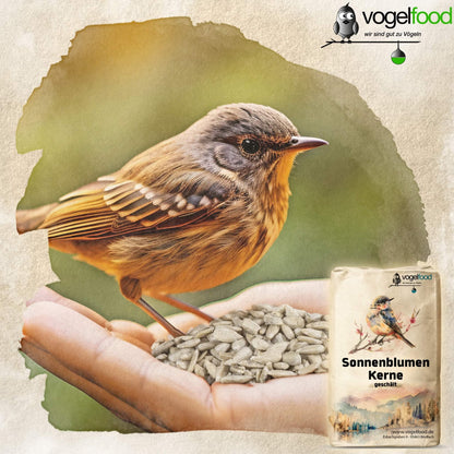 Vogelfood Geschälte Sonnenblumenkerne 25 kg Vogelfutter für Wildvögel