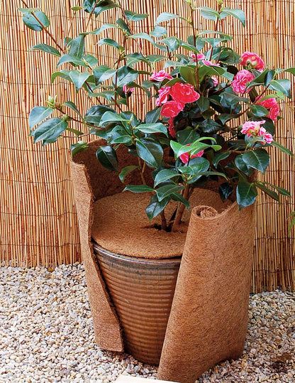 MW.Shop.24 Kokosmatte Biologischer Winterschutz – 50cm x 20m