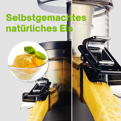 HUROM H-AA Slow Juicer Kaltpressentsafter – Dunkelsilber