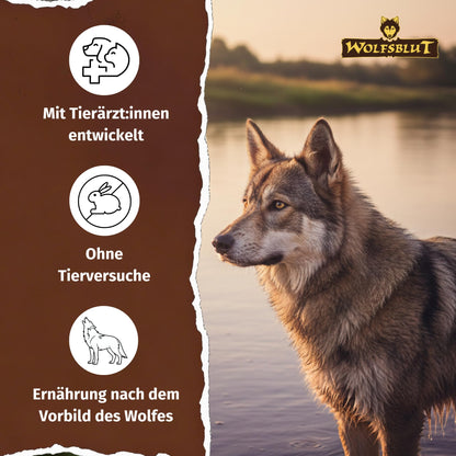 Wolfsblut Wide Plain Adult Trockenfutter mit Pferd, getreidefrei