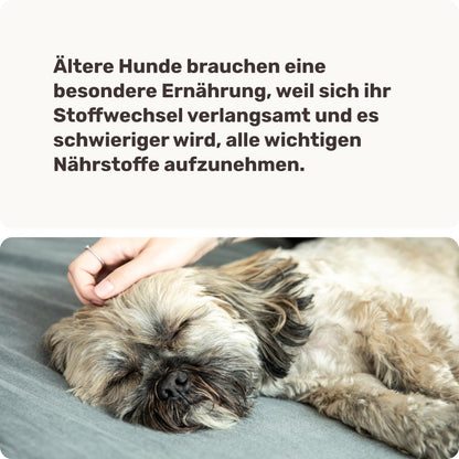 mammaly Forever Young Vital-Komplex für Senior Hunde, 120 Snacks