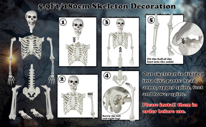 HorrorHaus 180cm Posierbares Ganzkörper Skelett – Halloween Deko 180-1P