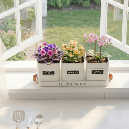 PERFNIQUE Kräutergarten Pflanztopf-Set mit Tablett, Metall, weiss