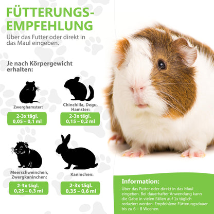 Alfavet RodiCare URO Ergänzungsfuttermittel für Kaninchen, 3 x 20 ml