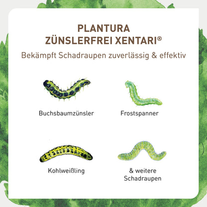 Plantura Zünslerfrei XenTari Raupenfrei gegen Buchsbaumzünsler, 64 g