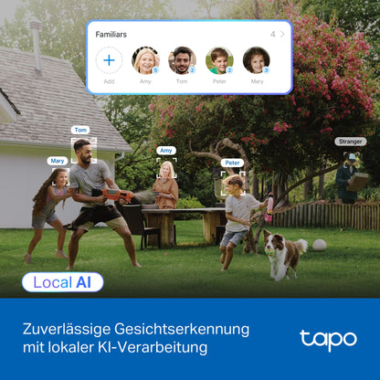 Tapo C560WS 4K 360° WLAN Überwachungskamera Aussen