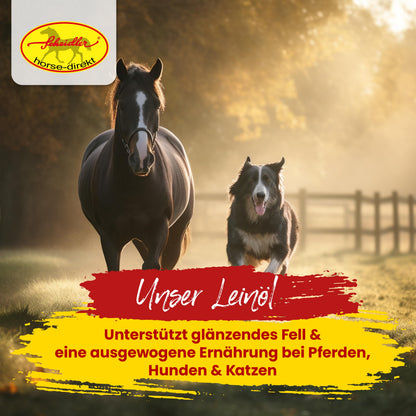 Scheidler horse-direkt Leinöl für Pferde, Hunde & Katzen 2x 5 Liter