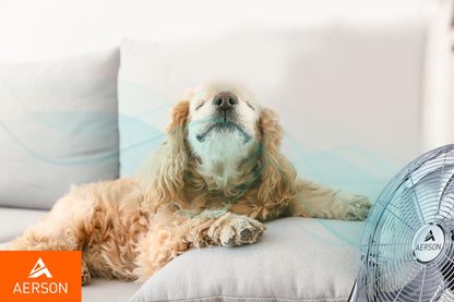 TRESKO AERSON Bodenventilator 50cm – Robuste Windmaschine