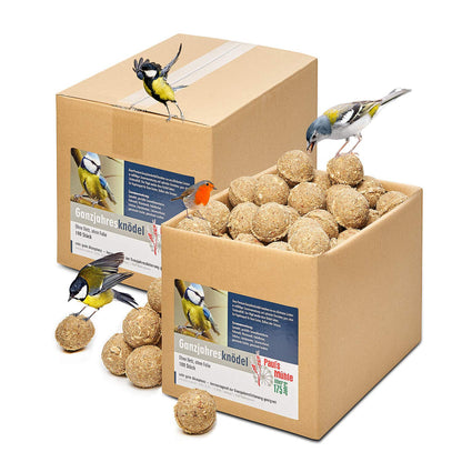 Paul's Mühle Ganzjahresknödel Insekten & Früchte – 200 Stk. Netzfrei