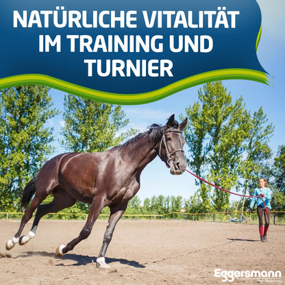 Eggersmann Profi Aminoral Aminosäuren Konzentrat 20 kg