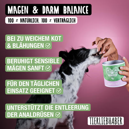 TIERLIEBHABER Darmpflege Drops für Hunde, 350 g (ca. 115 Stück)