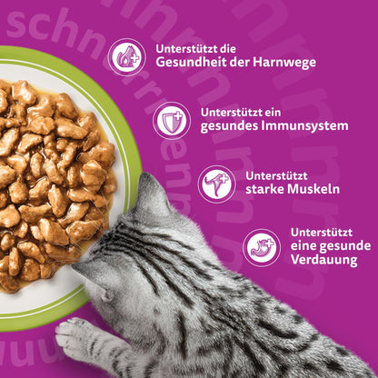 Whiskas Senior 7+ Katzennassfutter Gemischte Auswahl in Gelee 84x85g