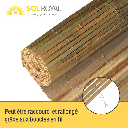 Sol Royal SolVision B89 Bambus Sichtschutz 120x300 cm für Balkon