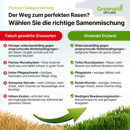 Greenato Dryland trockenresistente Rasensamen - 20kg