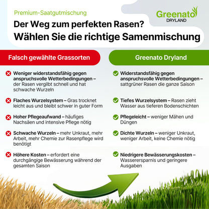 Greenato Dryland Rasensamen trockenresistent 15 kg für 600 m²