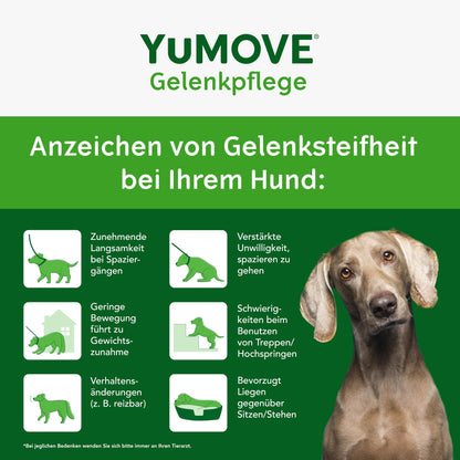 YuMOVE Grünlippmuschel Hund Gelenktabletten - 300 Tabletten