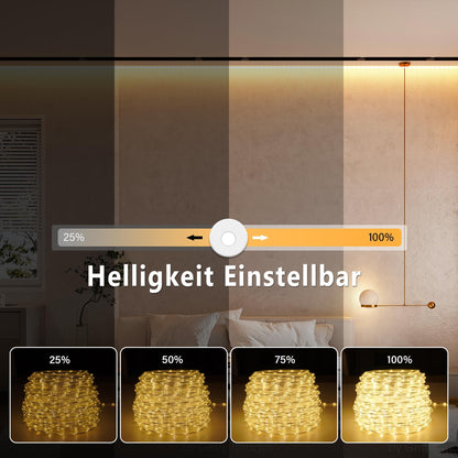 StarryEver LED Lichterschlauch 20 m, 800 LEDs, warmweiss, IP68