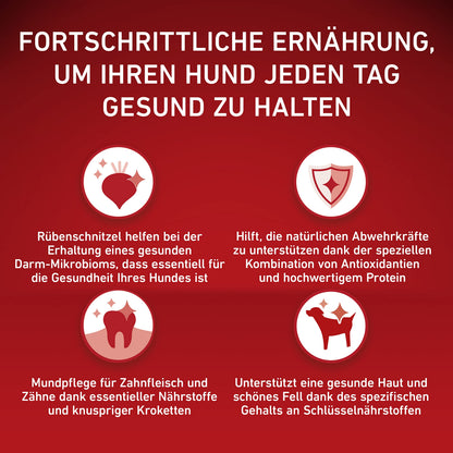 PURINA ONE Mini Small Adult Trockenfutter mit Rind & Reis, 8 x 800 g