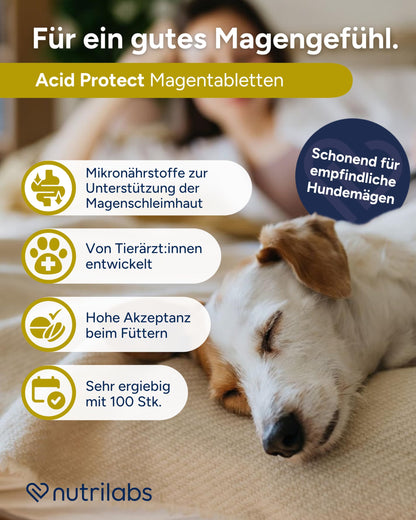 NutriLabs Acid Protect Kautabletten für Hunde, 100 Stück