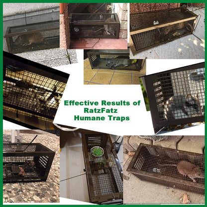 RatzFatz® Profi Mause- & Rattenfalle Lebendfalle - 2X XXL Set