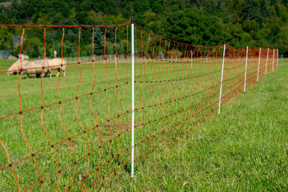 horizont easyLine Schafzaun 50 m – Elektrozaun 90 cm hoch