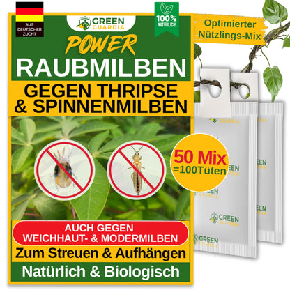 GREEN GUARDIA Power Raubmilben Mix gegen Thripse & Spinnmilben – 50 Mix. Kleiner Beutel mit Trägermaterial, enthält Raubmilben zum Pflanzenschutz.