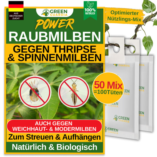 GREEN GUARDIA Power Raubmilben Mix gegen Thripse & Spinnmilben – 50 Mix. Kleiner Beutel mit Trägermaterial, enthält Raubmilben zum Pflanzenschutz.