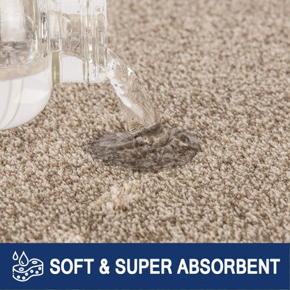 FCSDETAIL Schmutzfangmatte Innen 86 x 150 cm, rutschfeste Maschinenwaschbare Fußmatte, Sauberlaufmatte, Eingangstürmatte mit Wasserabsorbierenden, Fussmatte für Hund, Eingang, Haustür & Flur