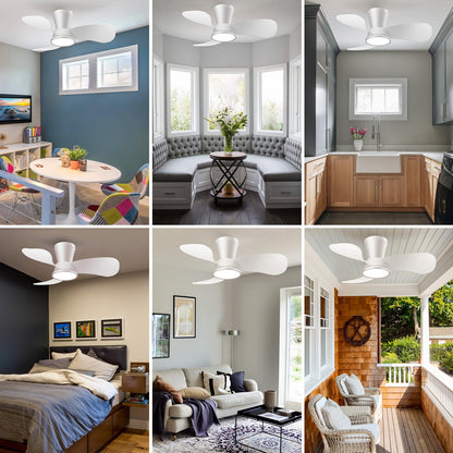 slochi Leiser Deckenventilator mit Beleuchtung - 77cm