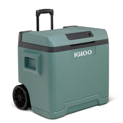 Igloo IE42 Elektrische Kühlbox 42 L, 12V/230V, Rollen & Teleskopgriff