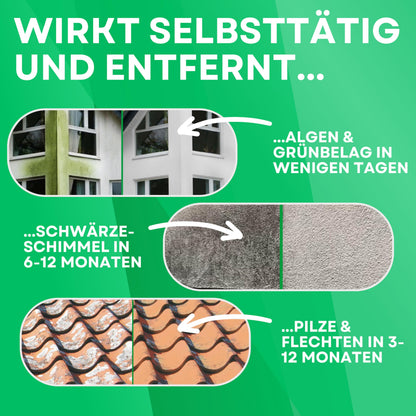 ABACUS Nell Ultra Grün- & Algenentferner Konzentrat – 4x1L