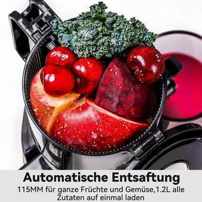 LINKChef Slow Juicer Kaltentsafter 115mm Öffnung - Schwarz 200W