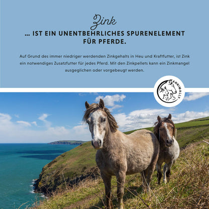 Annimally Zink Pellets für Pferde mit Schwarzkümmel, 2 kg