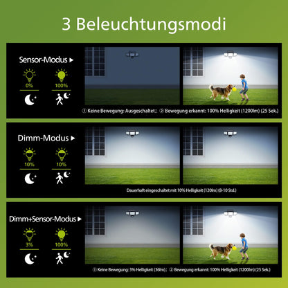 Philips Solarlampen für Aussen mit Bewegungsmelder, IP65, 2 Stück