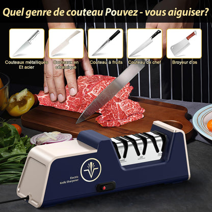 Sharp Professioneller Messerschärfer – Diamant Elektro