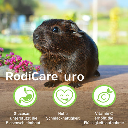 Alfavet RodiCare URO Ergänzungsfuttermittel für Kaninchen, 3 x 20 ml