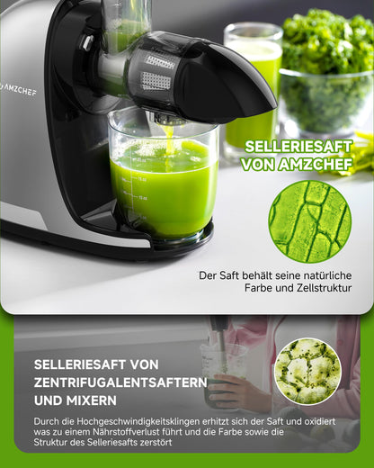 AMZCHEF Slow Juicer Entsafter für Gemüse & Obst - Silber