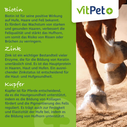 VitPet+ Huf Wohl Mineralfutter Pferde mit Biotin, Zink, 4 kg