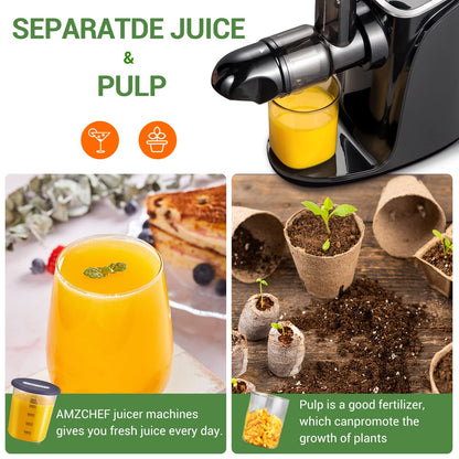 AMZCHEF Slow Juicer Entsafter Gemüse Obst – Schwarz
