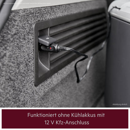 AEG Automotive KK Thermoelektrische Kühlbox 28L 12/230V, Schwarz