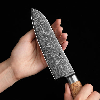 Wakoli EDIB Pro Damastmesser-Set 4er – Pakkaholz