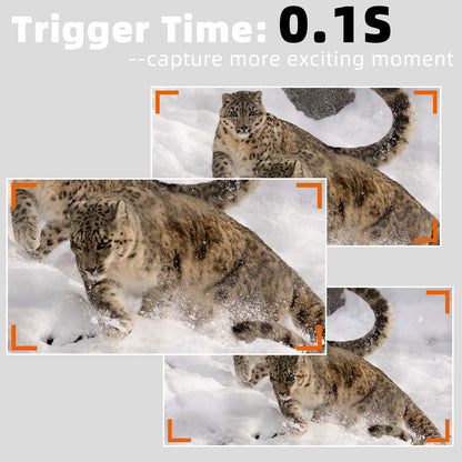 Wildkamera A323 64MP 1296P – Nachsichtkamera IP66