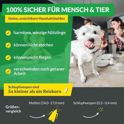 Hey Nature® Schlupfwespen gegen Lebensmittelmotten – 18 Karten