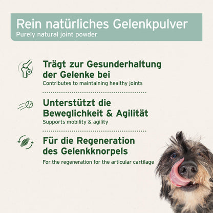 AniForte Grünlippmuschelpulver Hund 500g – Vollfettqualität